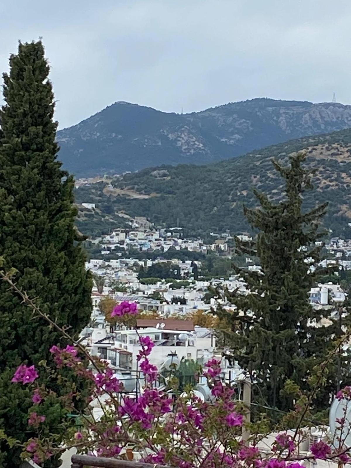 Izan Villa Bakis Apartments Bodrum Eksteriør bilde
